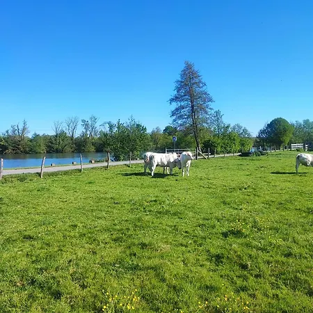 Le Refuge De La Sittelle , Cozy, Proche Chantilly & Gare Boran-sur-Oise